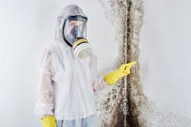 Environmental Consulting for Mold Prevention in Racine, WI